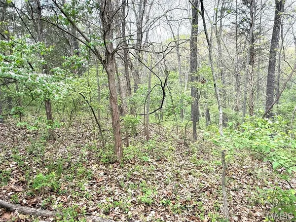 $150,000 | 19231 St Albans Road, Wildwood, MO 63038