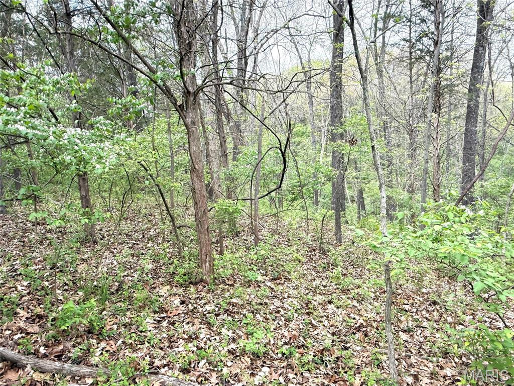 19231 St Albans Road Wildwood, MO 63038 - Photo 6 of 10