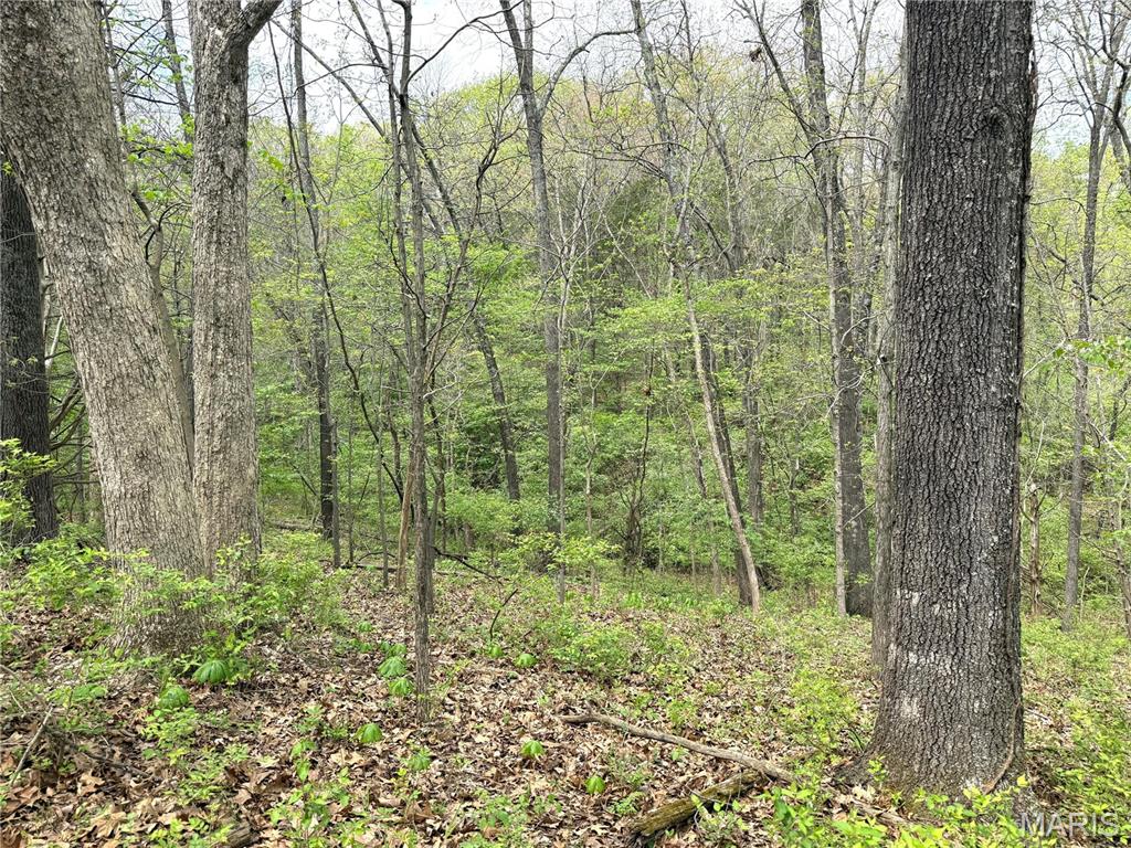 19231 St Albans Road Wildwood, MO 63038 - Photo 7 of 10