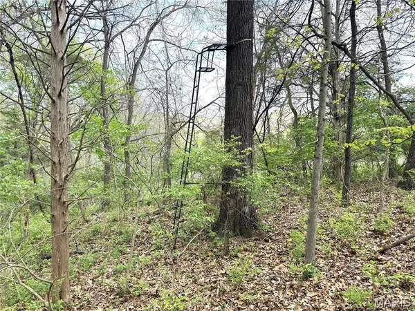 $150,000 | 19231 St Albans Road, Wildwood, MO 63038