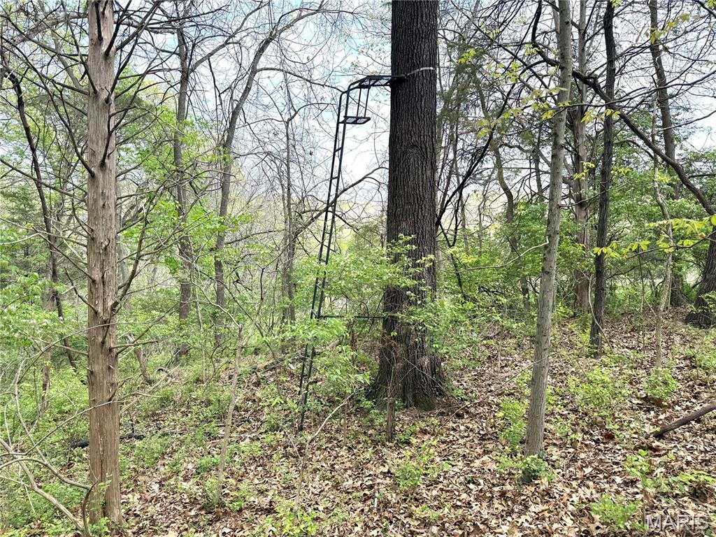 19231 St Albans Road Wildwood, MO 63038 - Photo 9 of 10