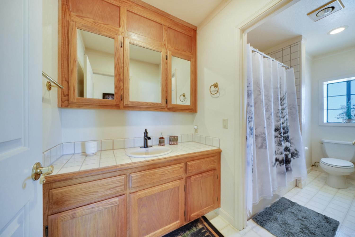 391 Spyglass Road Valley Springs, CA 95252 - Photo 25 of 30 a bathroom with a sink a toilet and shower