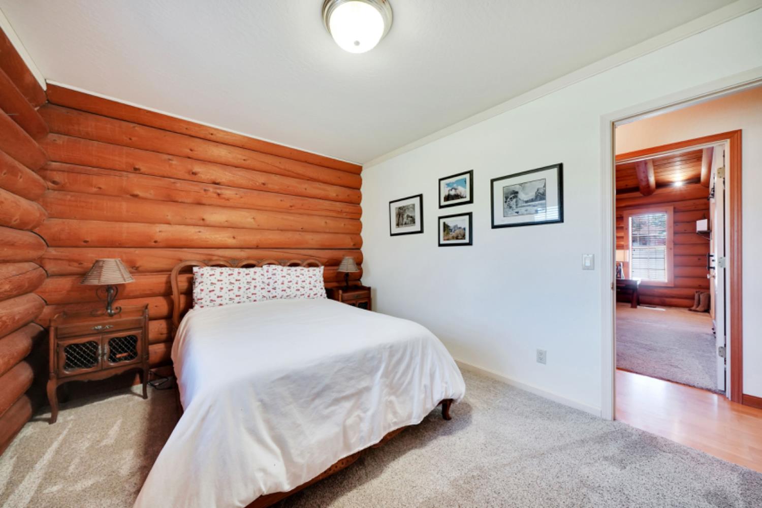 391 Spyglass Road Valley Springs, CA 95252 - Photo 26 of 30 a bedroom with a bed and painting on the wall