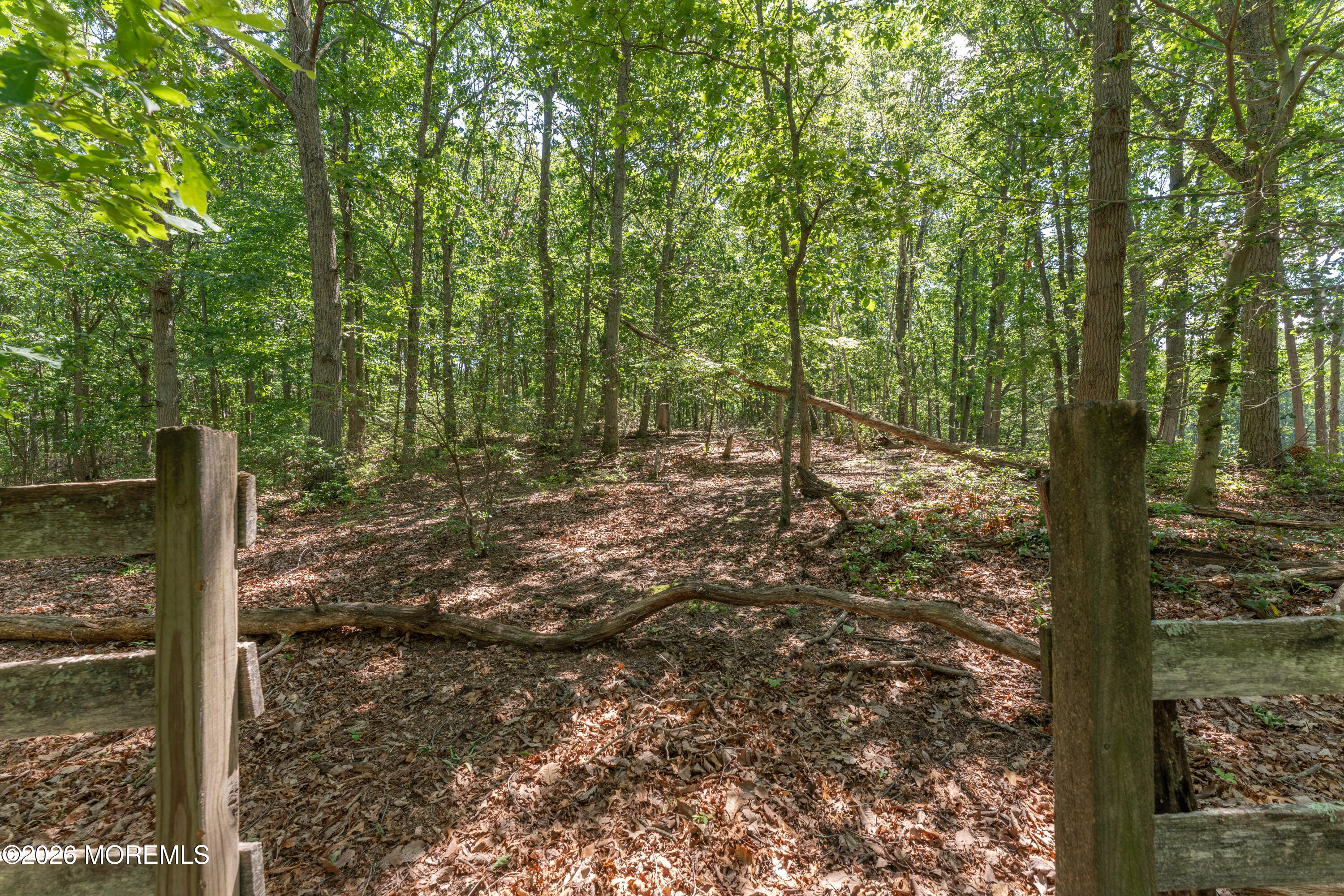 48 Chambers Road Cream Ridge, NJ 08514 - Photo 43 of 52 DSC00068
