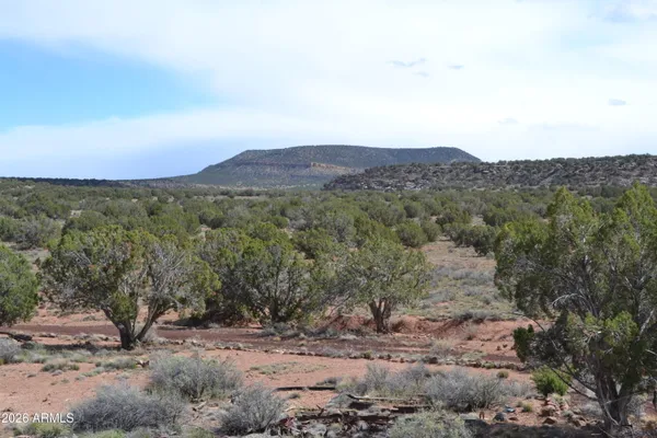 $59,900 | 32 N8544, Unit 398, Concho, AZ 85924