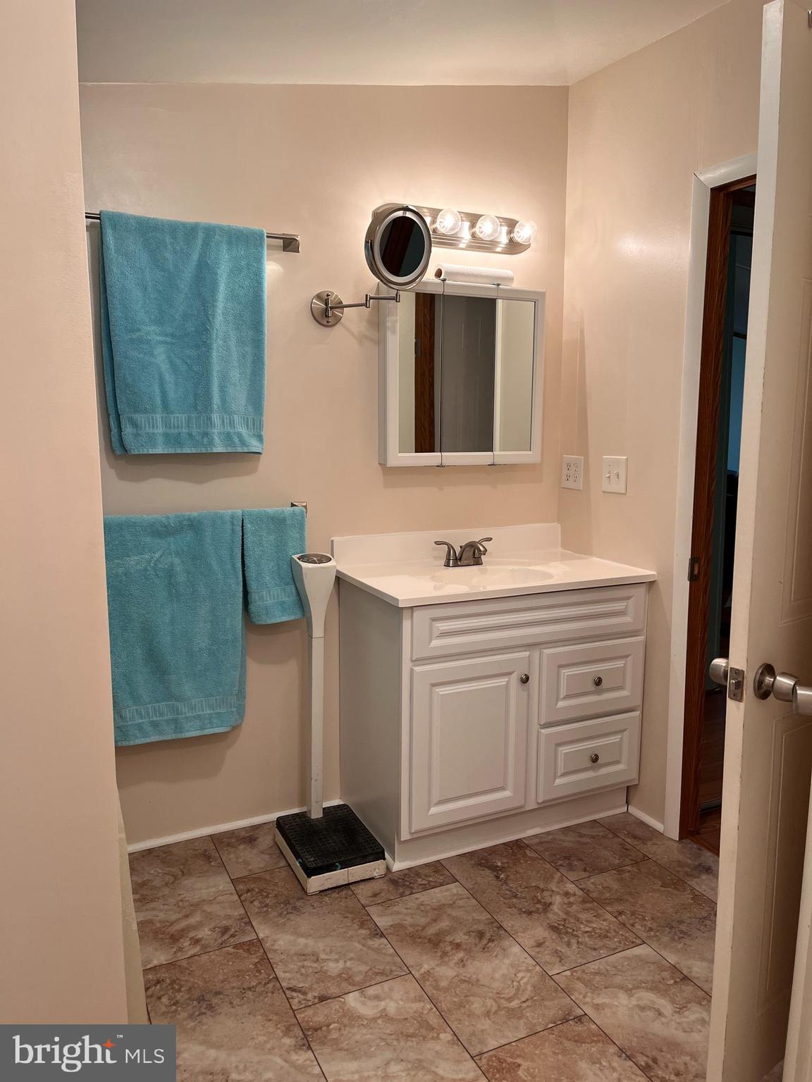 111 Nancy Boulevard Middletown, PA 17057 - Photo 17 of 28 a bathroom with a sink a mirror and vanity