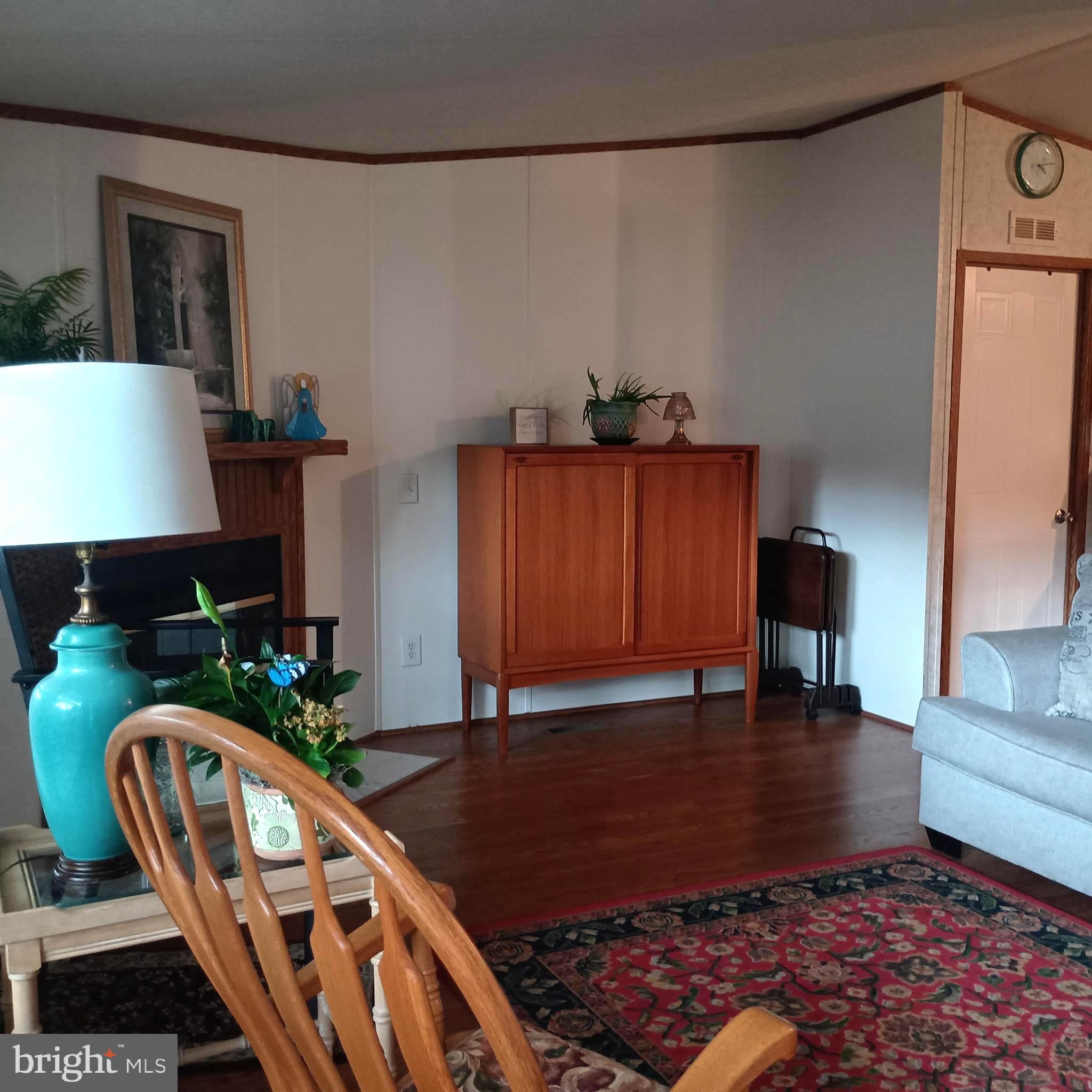 111 Nancy Boulevard Middletown, PA 17057 - Photo 5 of 28 a living room with furniture and a fireplace