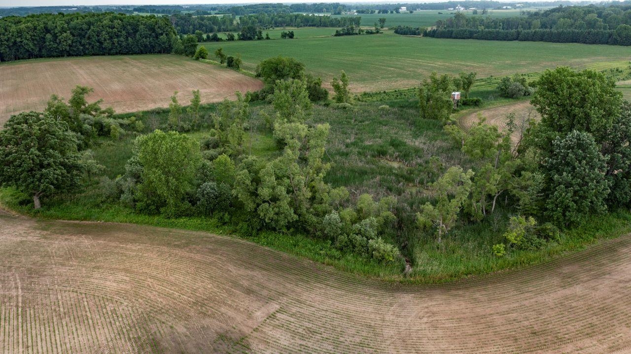 Blueberry Road, Unit 4 Bear Creek, WI 54922 - Photo 6 of 10