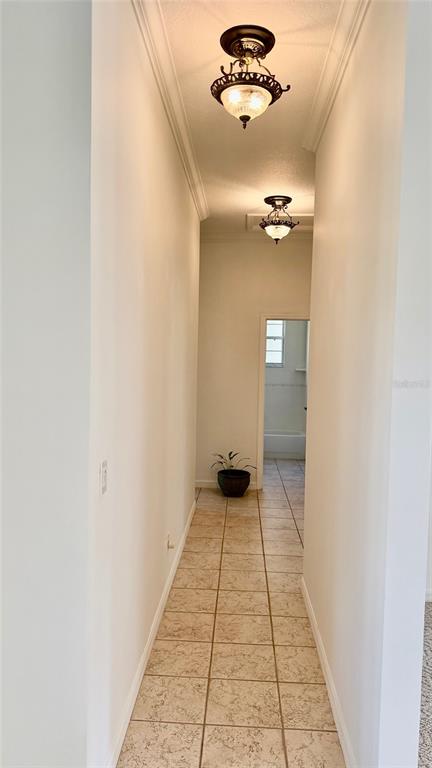 3701 West Anthony Road Ocala, FL 34475 - Photo 18 of 50