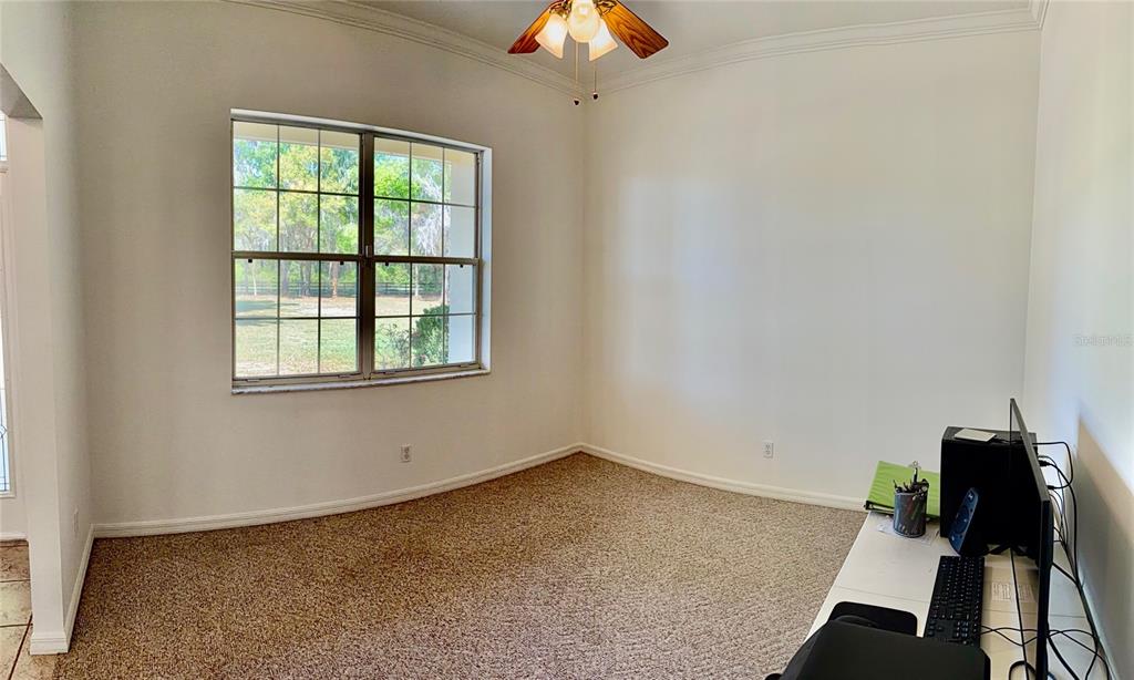 3701 West Anthony Road Ocala, FL 34475 - Photo 3 of 50