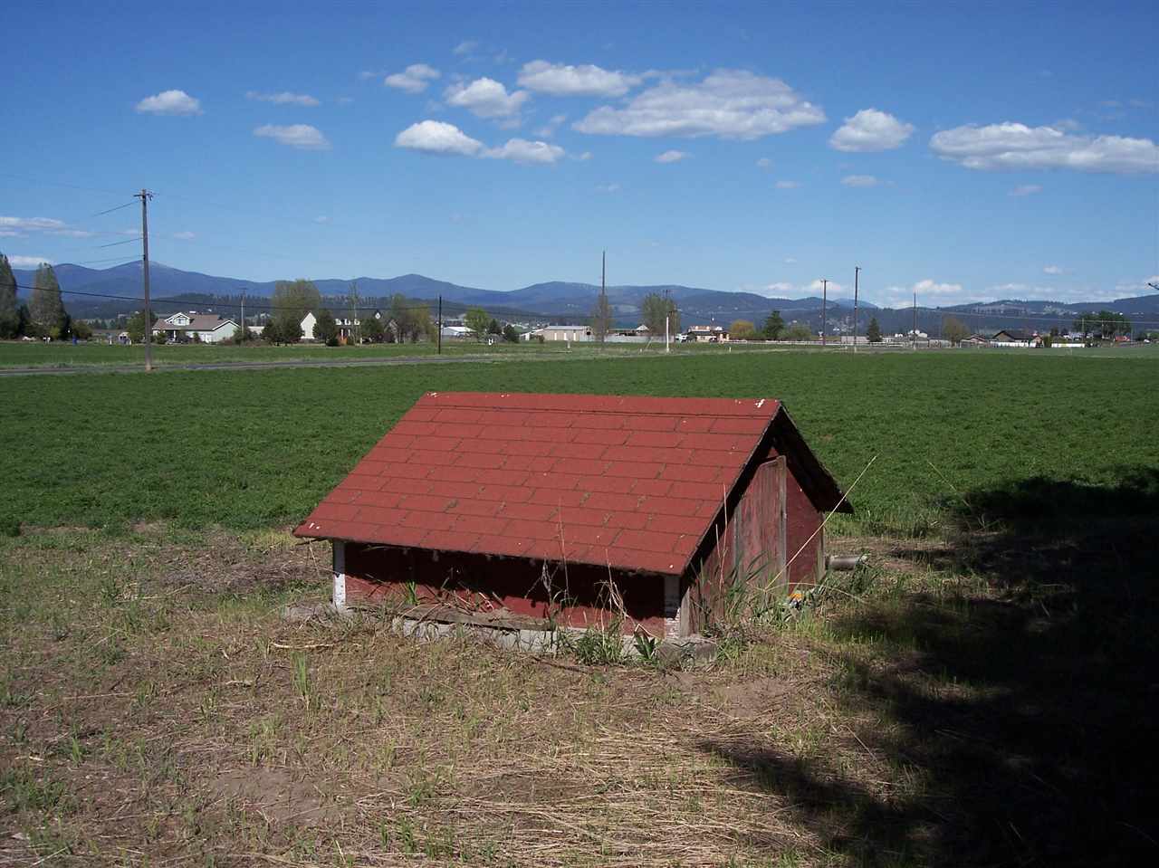 4912 East Peone Road Mead, WA 99021 - Photo 5 of 6