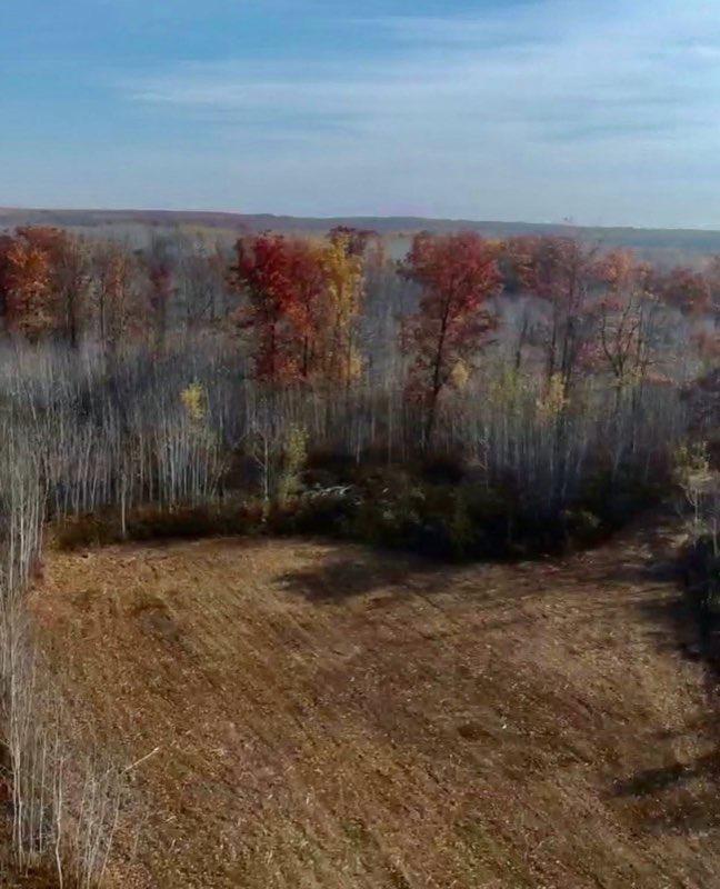 64997 Rutabaga Road Sandstone, MN 55072 - Photo 3 of 10