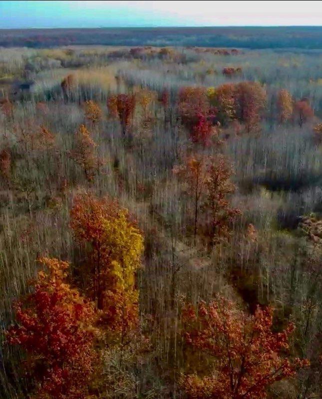 64997 Rutabaga Road Sandstone, MN 55072 - Photo 4 of 10