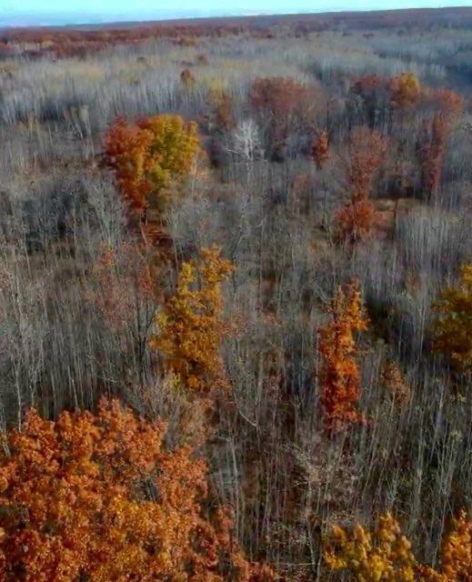 64997 Rutabaga Road Sandstone, MN 55072 - Photo 7 of 10