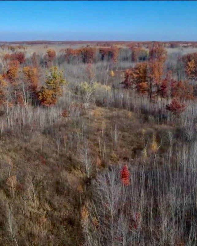 64997 Rutabaga Road Sandstone, MN 55072 - Photo 9 of 10