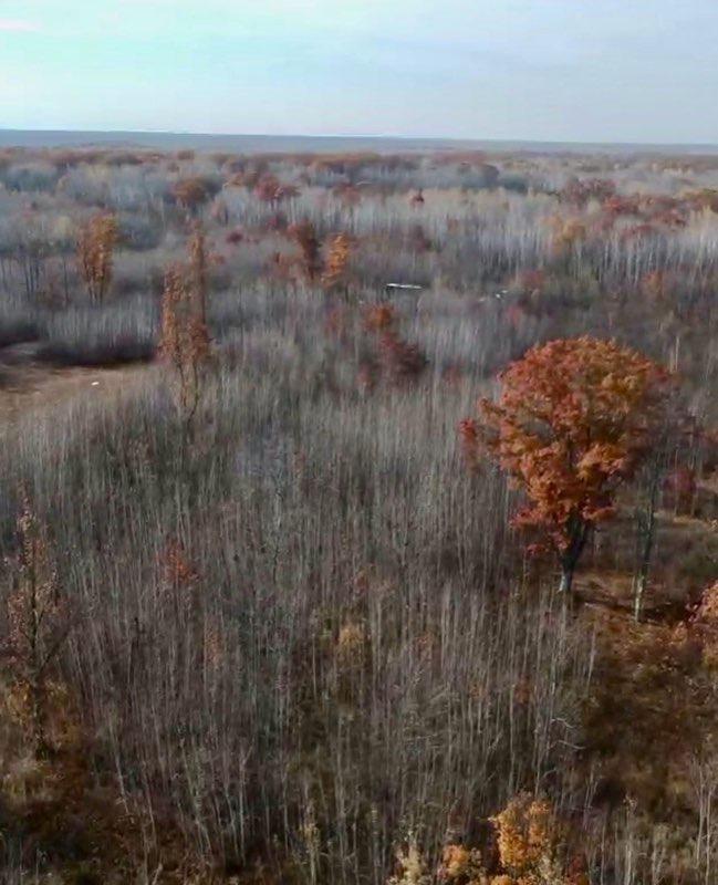 64997 Rutabaga Road Sandstone, MN 55072 - Photo 10 of 10