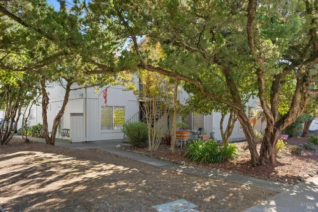 a view of a house with a tree in front