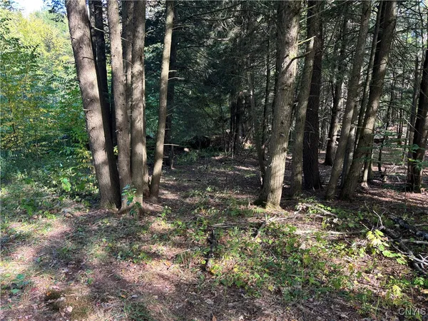 $35,000 | 7639 Oakville Terrace, Rome, NY 13440