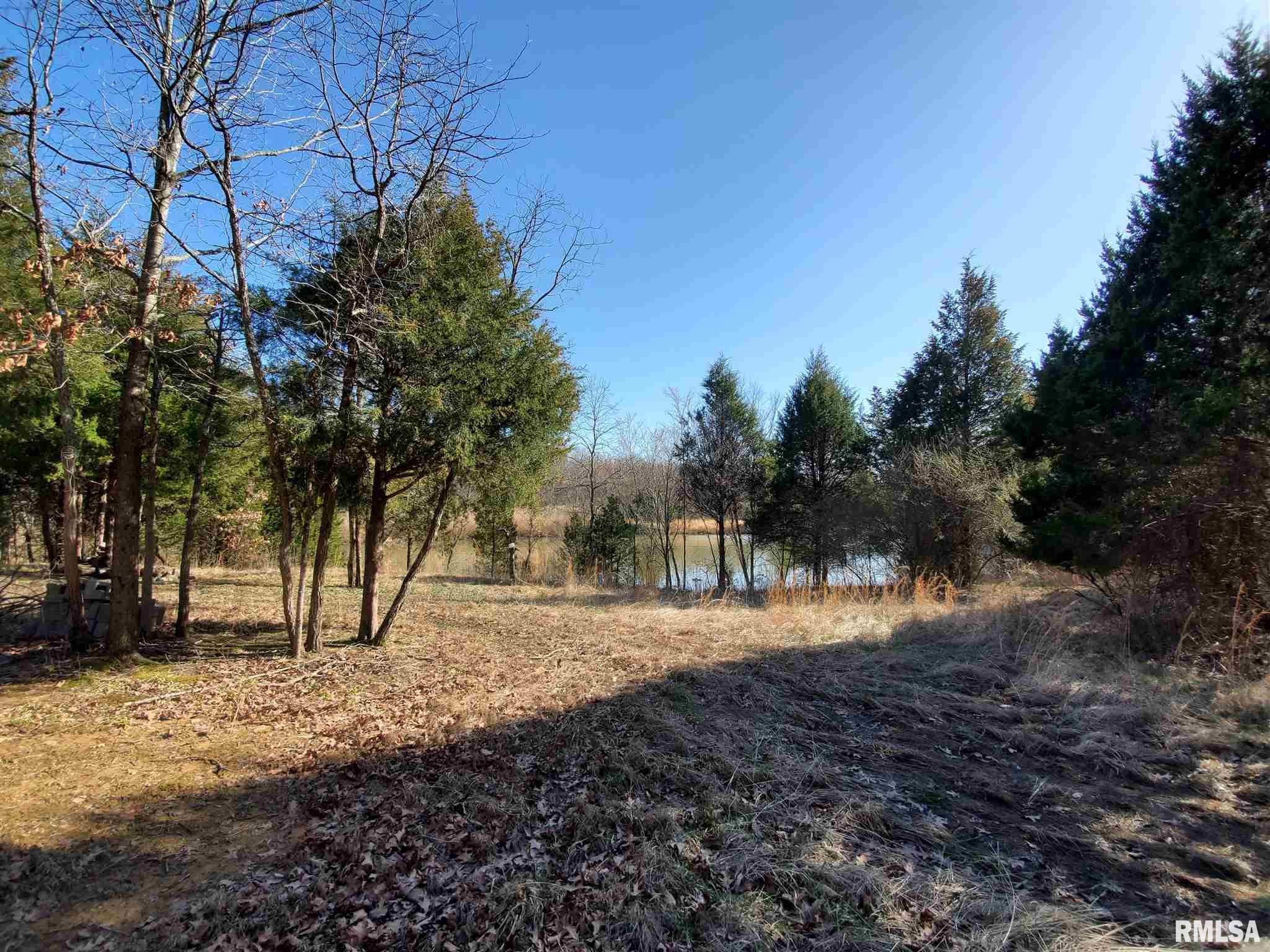 2080 Tyler Bridge Road Creal Springs, IL 62922 - Photo 2 of 42