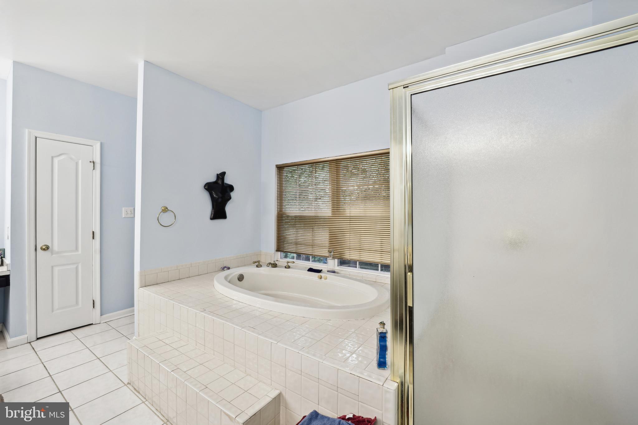 10809 Tippett Road Clinton, MD 20735 - Photo 25 of 48 Primary Suite Bathroom