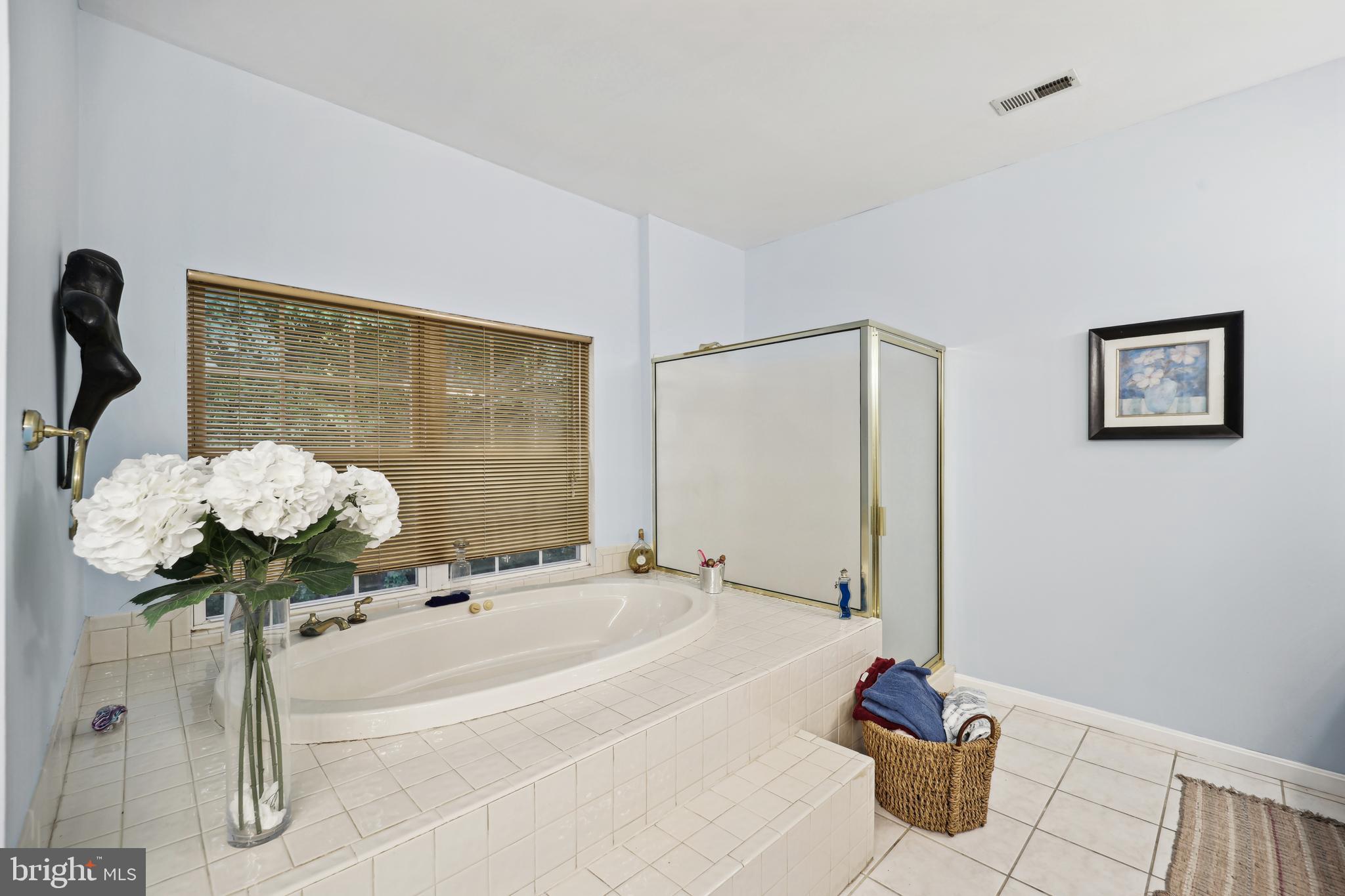 10809 Tippett Road Clinton, MD 20735 - Photo 26 of 48 Primary Suite Spa Bathroom