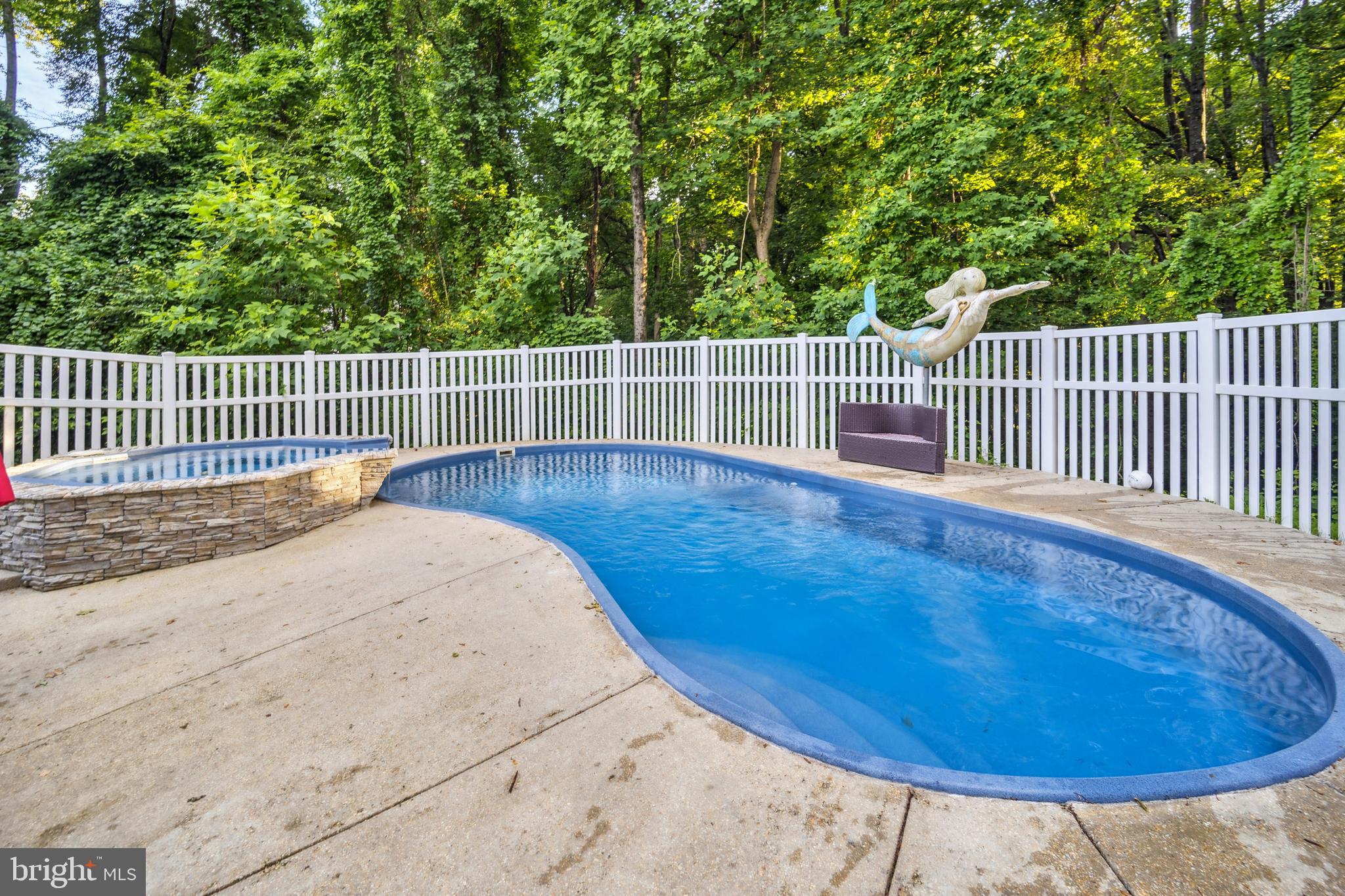 10809 Tippett Road Clinton, MD 20735 - Photo 41 of 48 Outdoor Patio & Spa