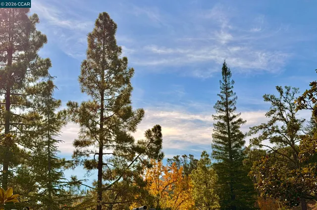 $227,000 | 1324 Singingwood Court, Unit 3, Walnut Creek, CA 94595