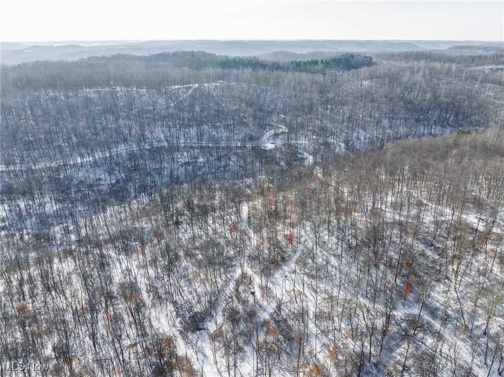 138 Township Road Coshocton, OH 43812 - Photo 41 of 47 Aerial view of a forest