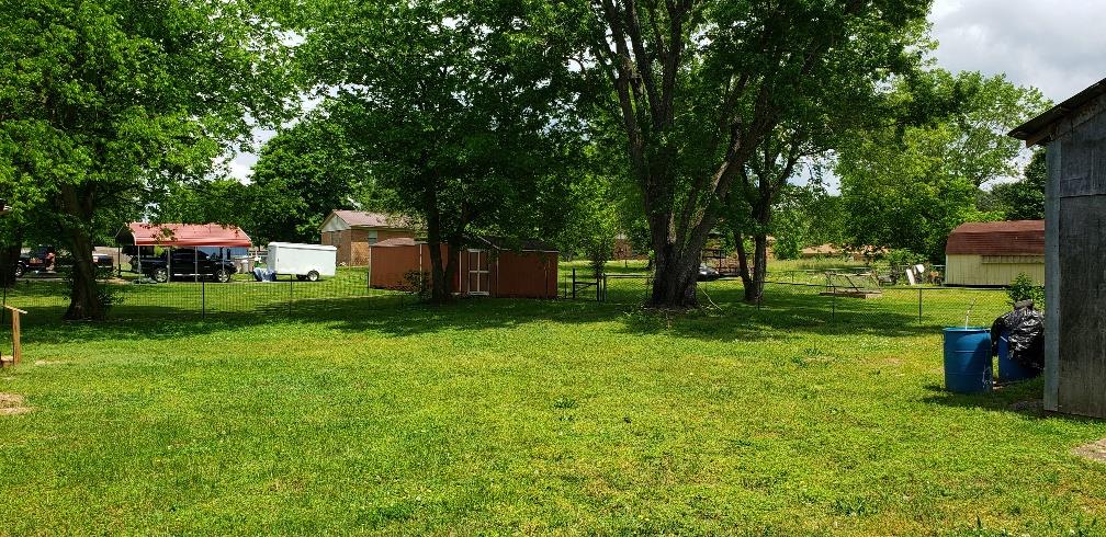807 Miles Road Pulaski, TN 38478 - Photo 4 of 18 Back Yard