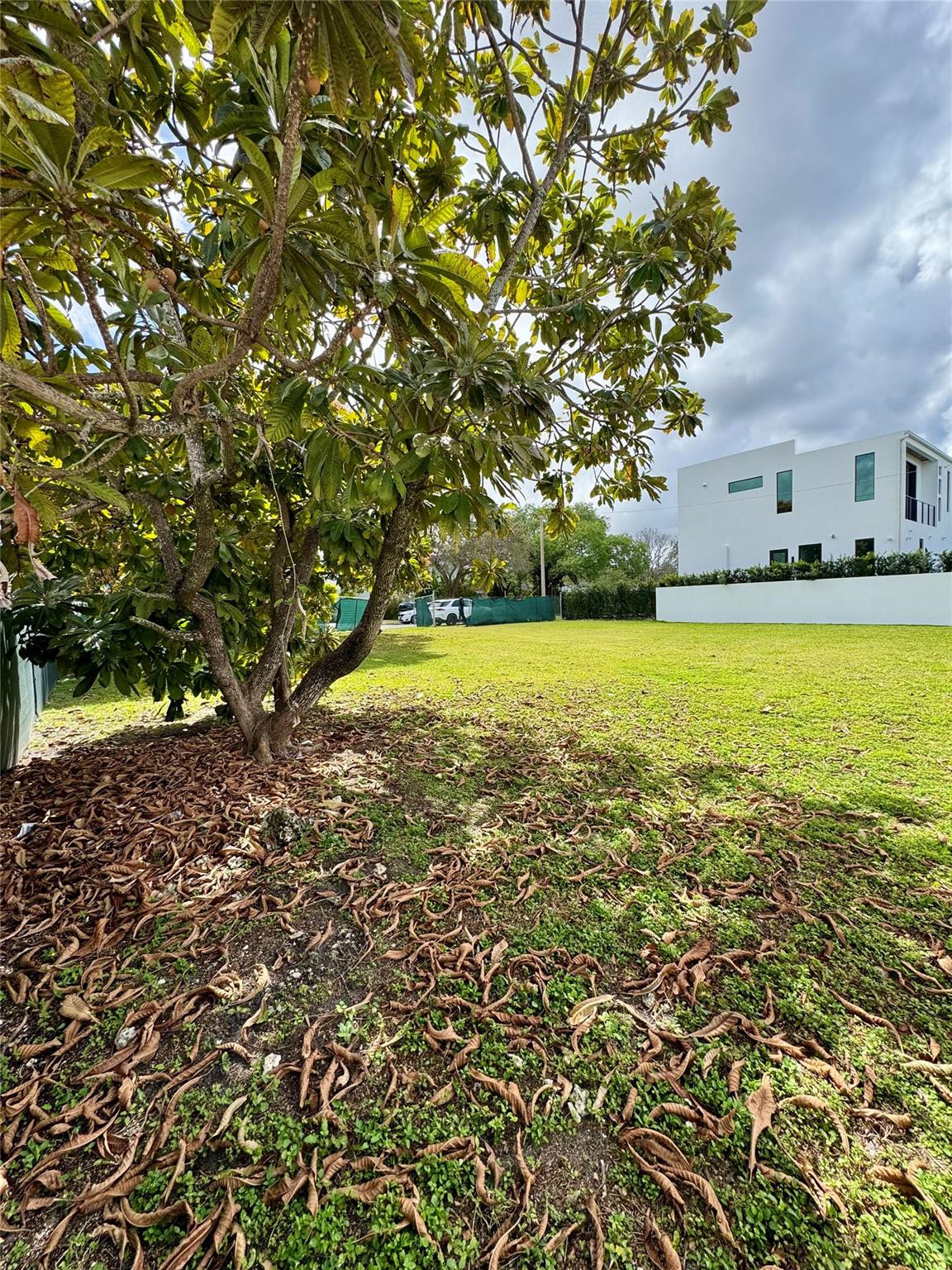 4221 Southwest 11th Street Miami, FL 33134 - Photo 6 of 10 a view of a large yard with a large trees