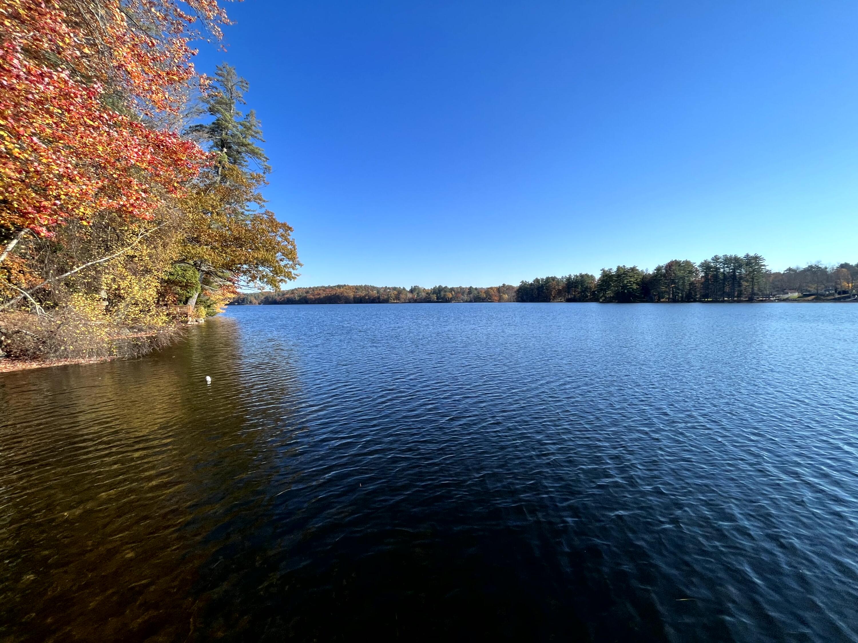 115 61 Fire Road South China, ME 04358 - Photo 5 of 33 05 View