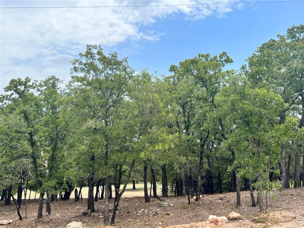 310 Rolling Bnd Road Alvord, TX 76225 - Photo 4 of 24 View of the 2-acre lot offering lots of trees and beautiful rolling terrain.