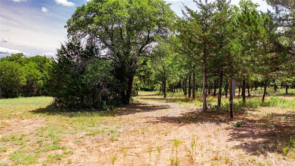 310 Rolling Bnd Road Alvord, TX 76225 - Photo 5 of 24 View of the 2-acre lot offering lots of trees and beautiful rolling terrain.