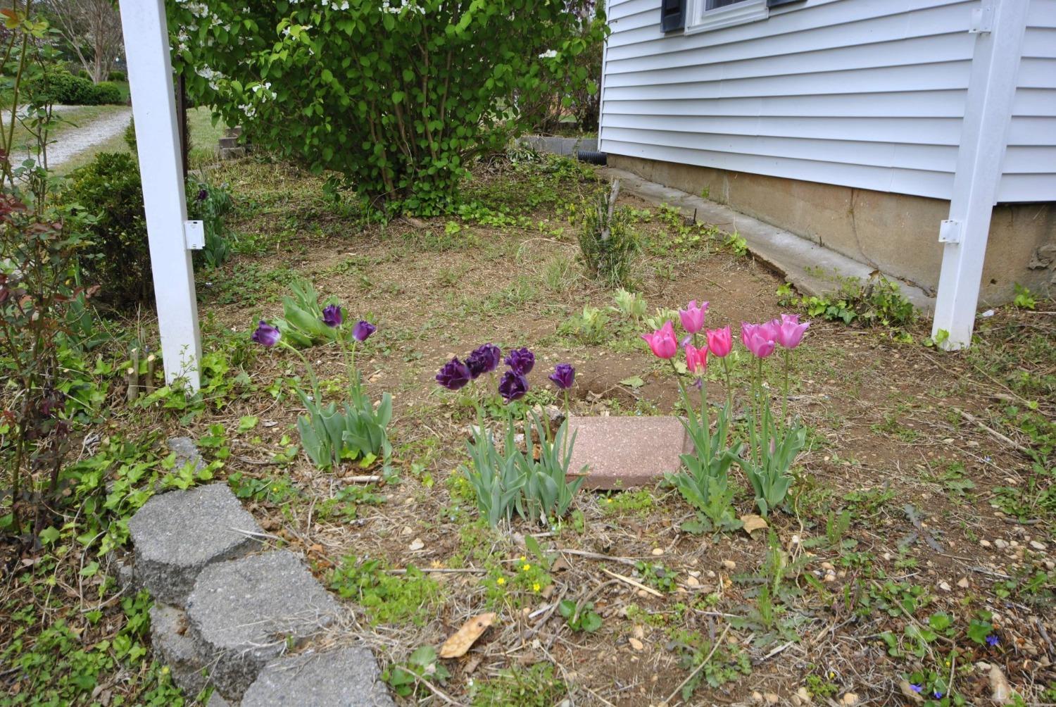 400 North Main Street Amherst, VA 24521 - Photo 86 of 89