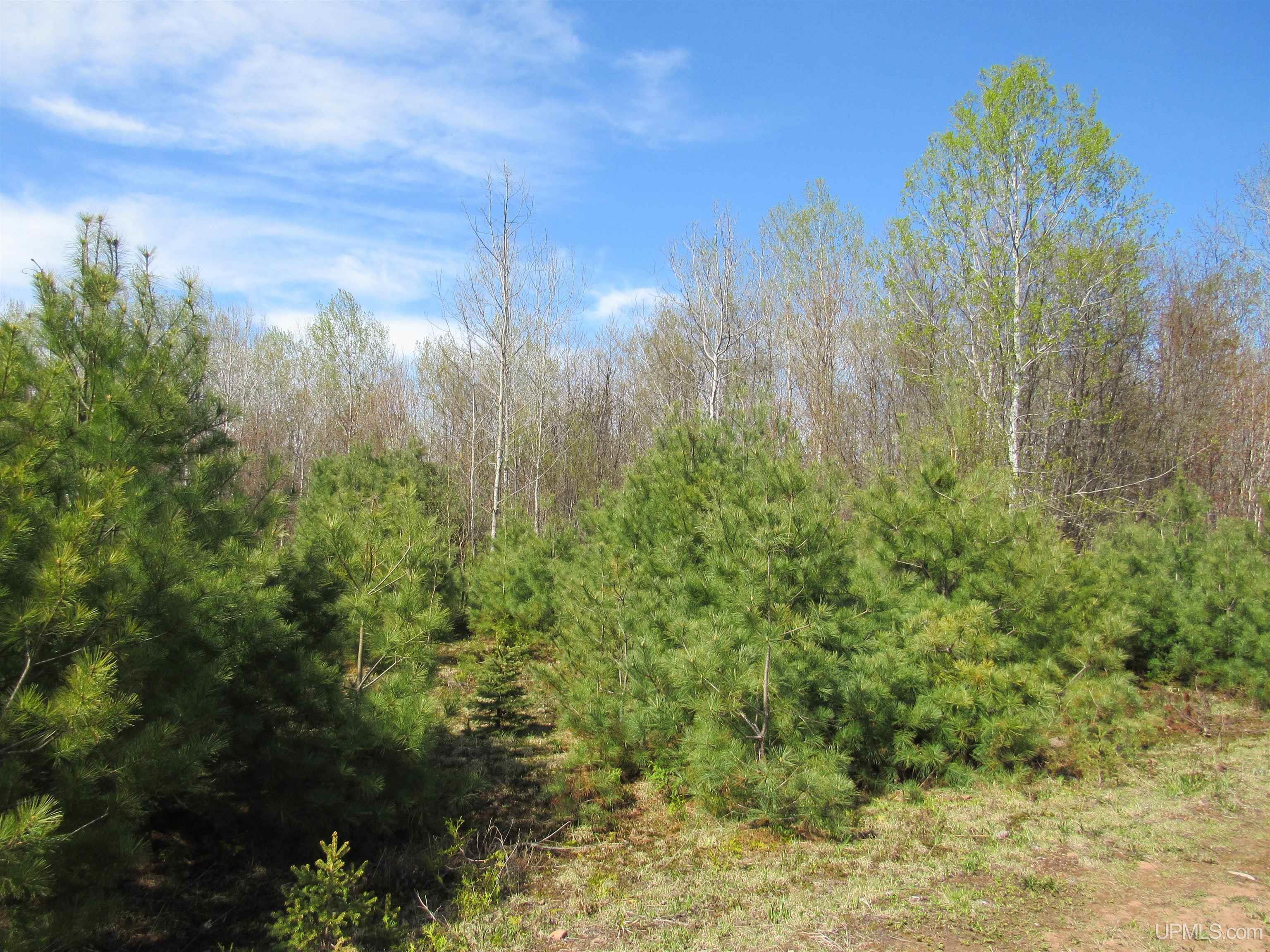 Tbd Off Rice Lake Road, Unit NO DRIVE BYS Lake Linden, MI 49945 - Photo 27 of 40