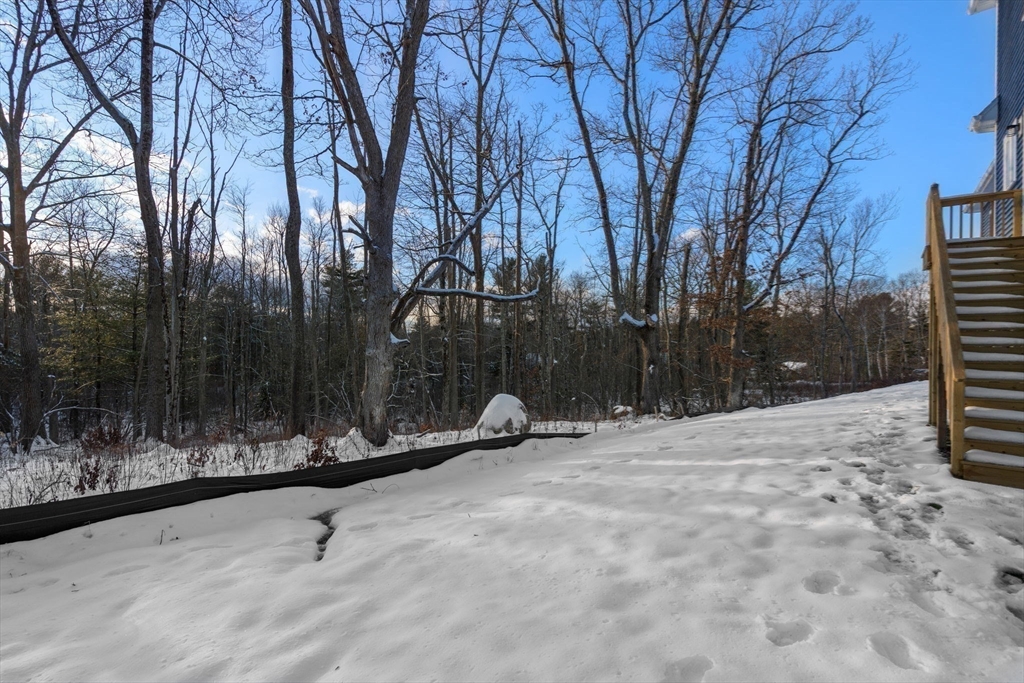 5 Miles Road Rutland, MA 01543 - Photo 36 of 37 a view of outdoor space with trees