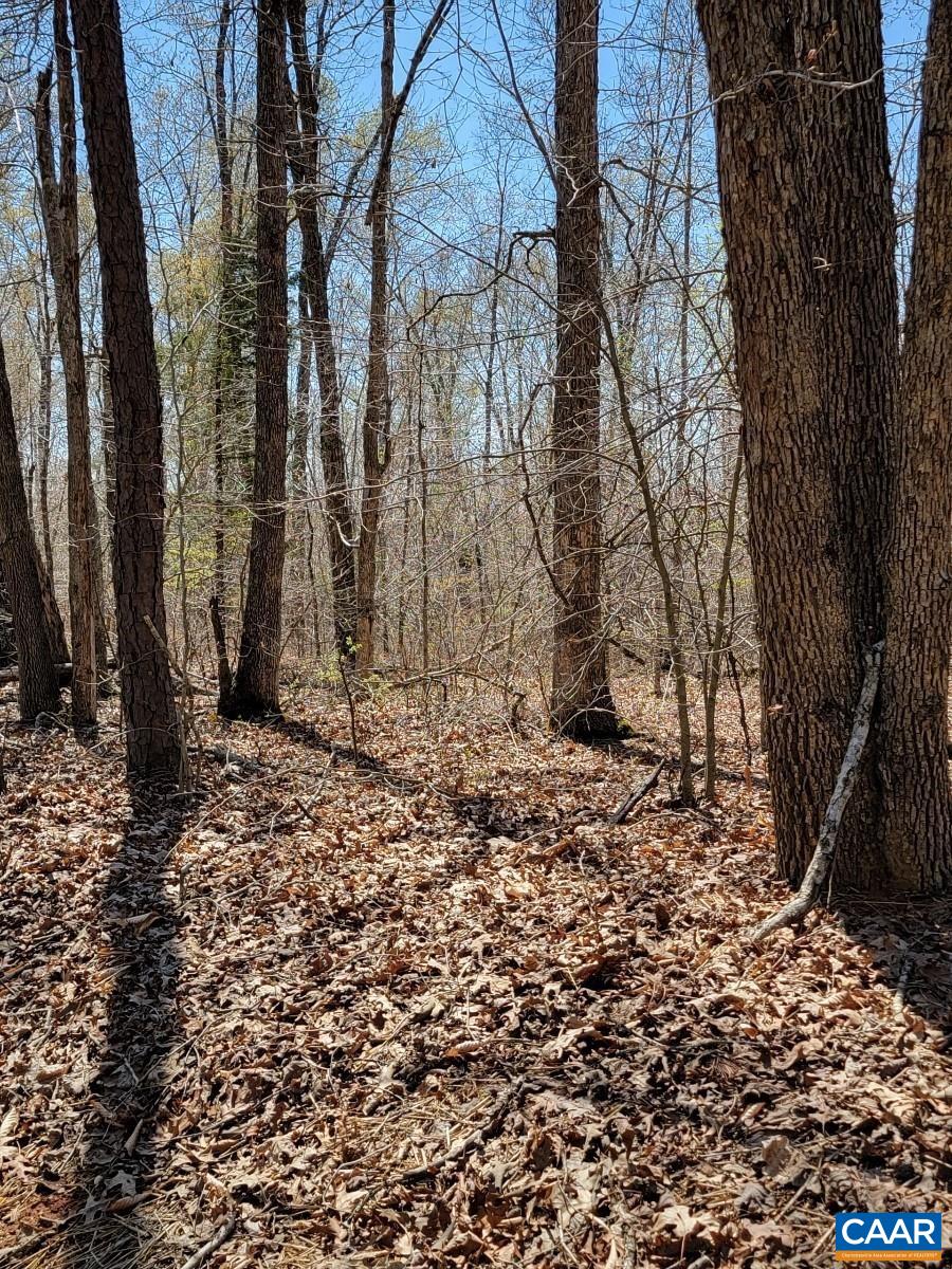 B3 Beaver Creek Road Orange, VA 22960 - Photo 1 of 3 Gallery Image 1