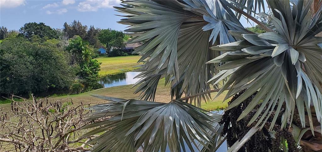 5100 Southwest 90th Avenue, Unit 406 Cooper City, FL 33328 - Photo 22 of 25 Photo 22