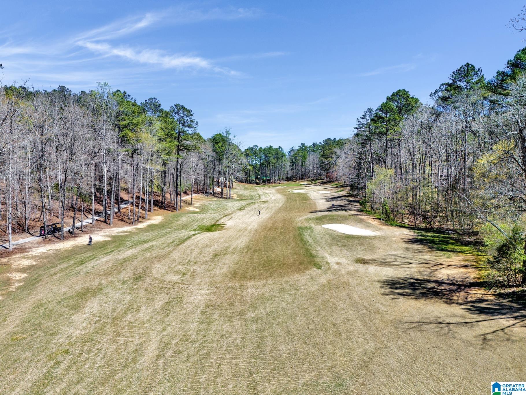 433 St Andrews Parkway, Unit 1 Oneonta, AL 35121 - Photo 9 of 22