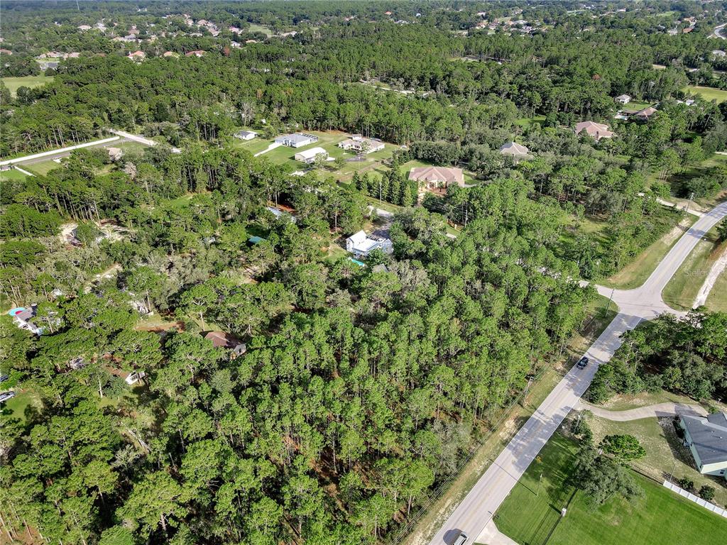 14163 Highgrove Road Spring Hill, FL 34609 - Photo 7 of 15 Gallery Image 7