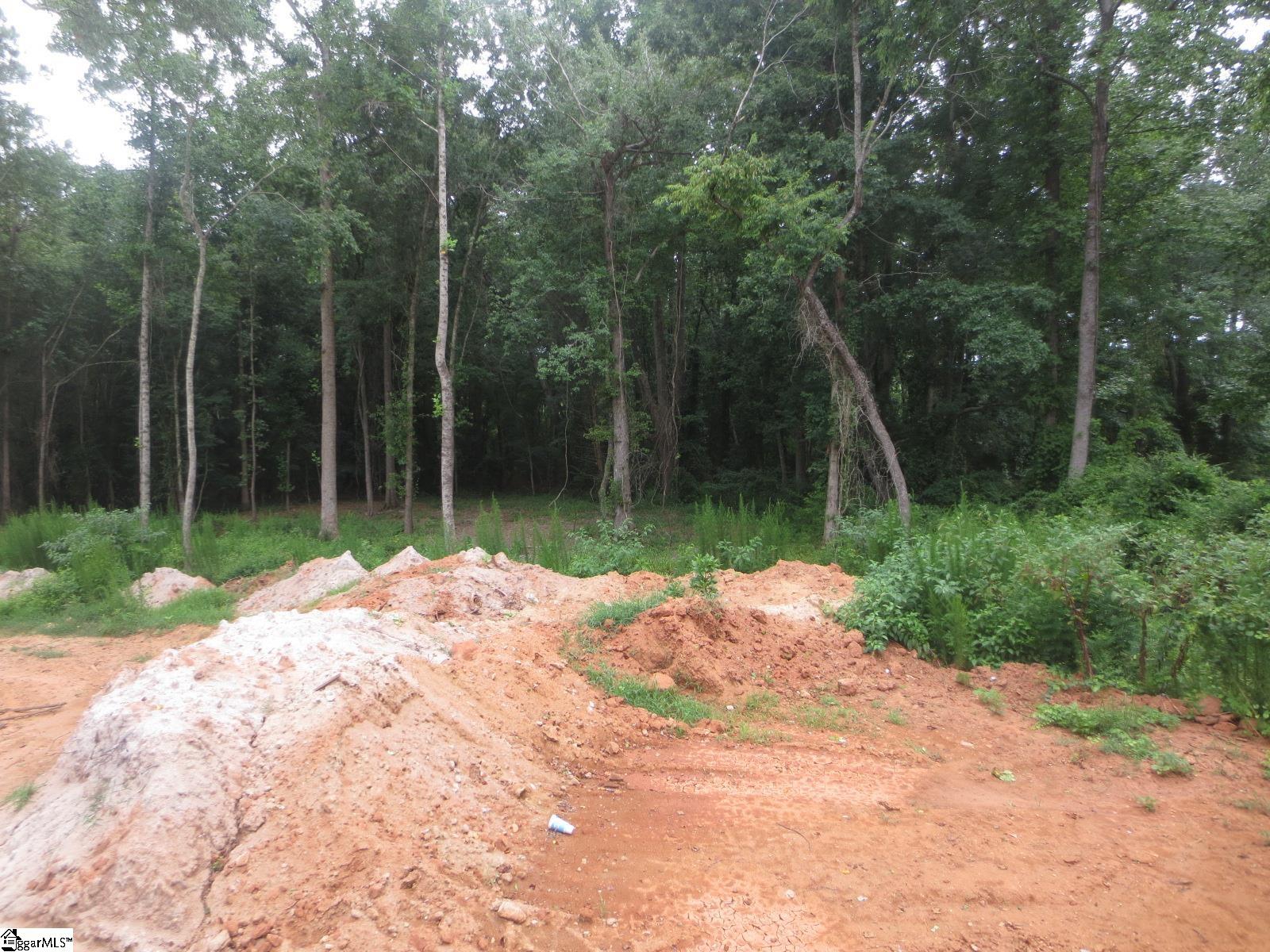 140 Rickys Path Easley, SC 29642 - Photo 14 of 21