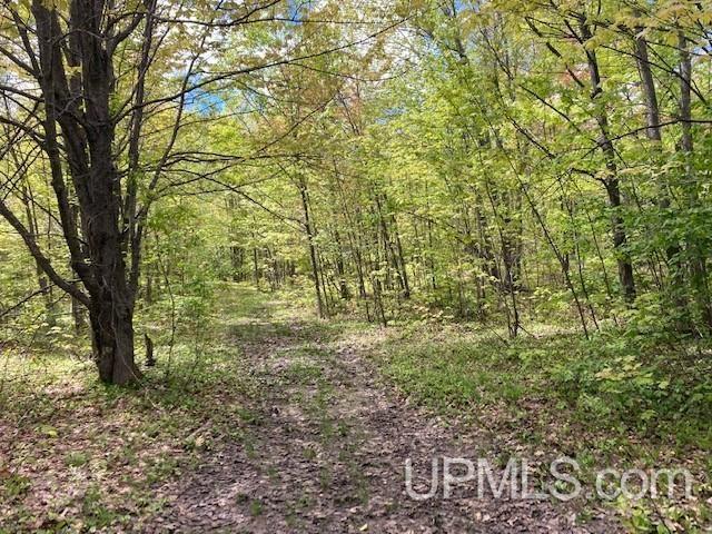 2 Boundary Road Chassell, MI 49916 - Photo 52 of 77