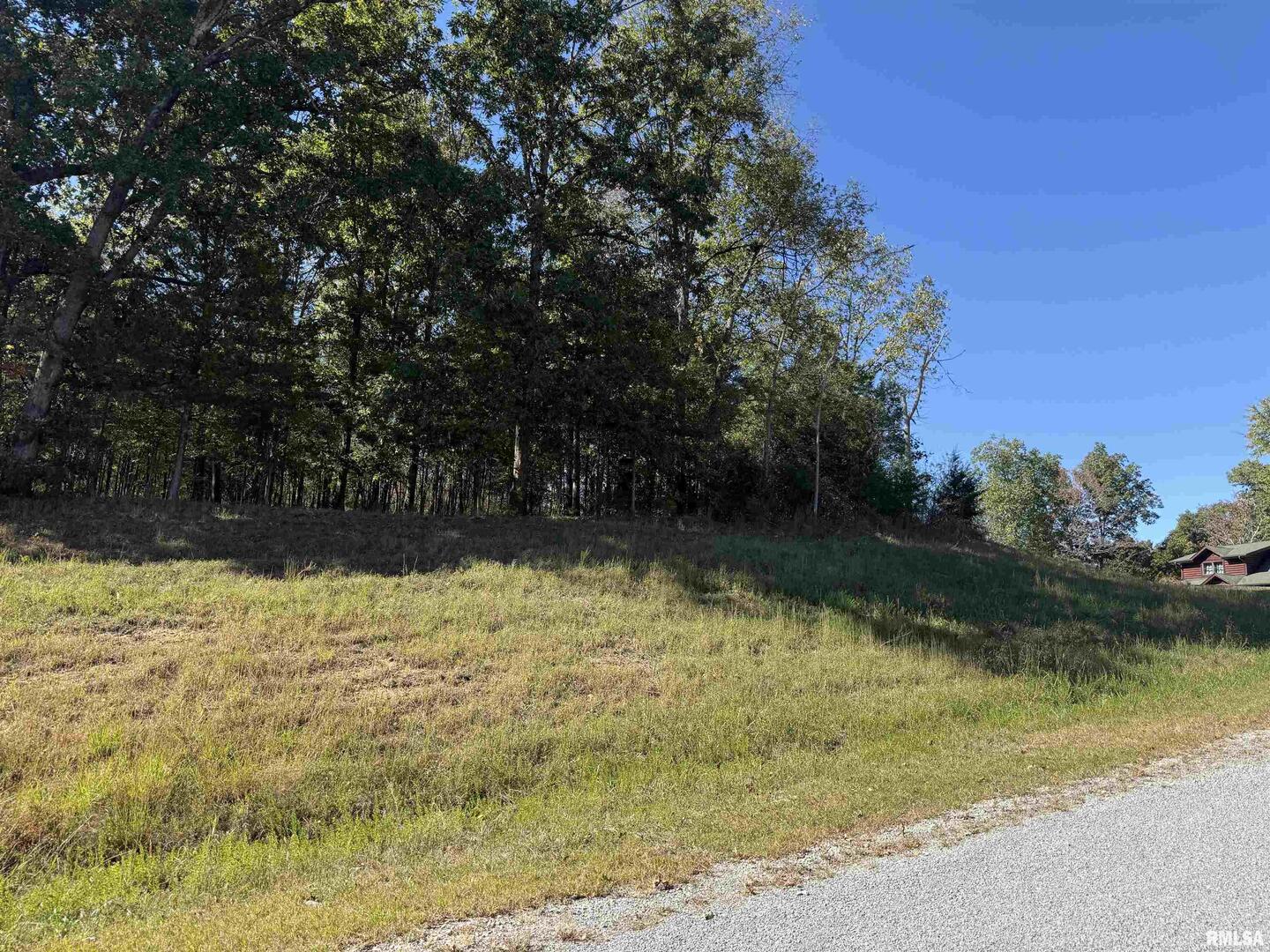 0 Clifty Lane Goreville, IL 62939 - Photo 1 of 8
