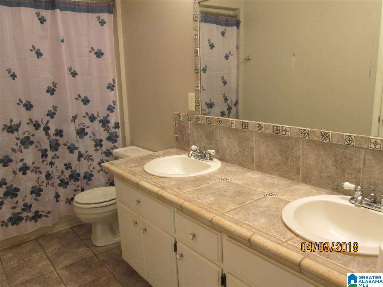 809 8th Circle North Pell City, AL 35125 - Photo 9 of 33