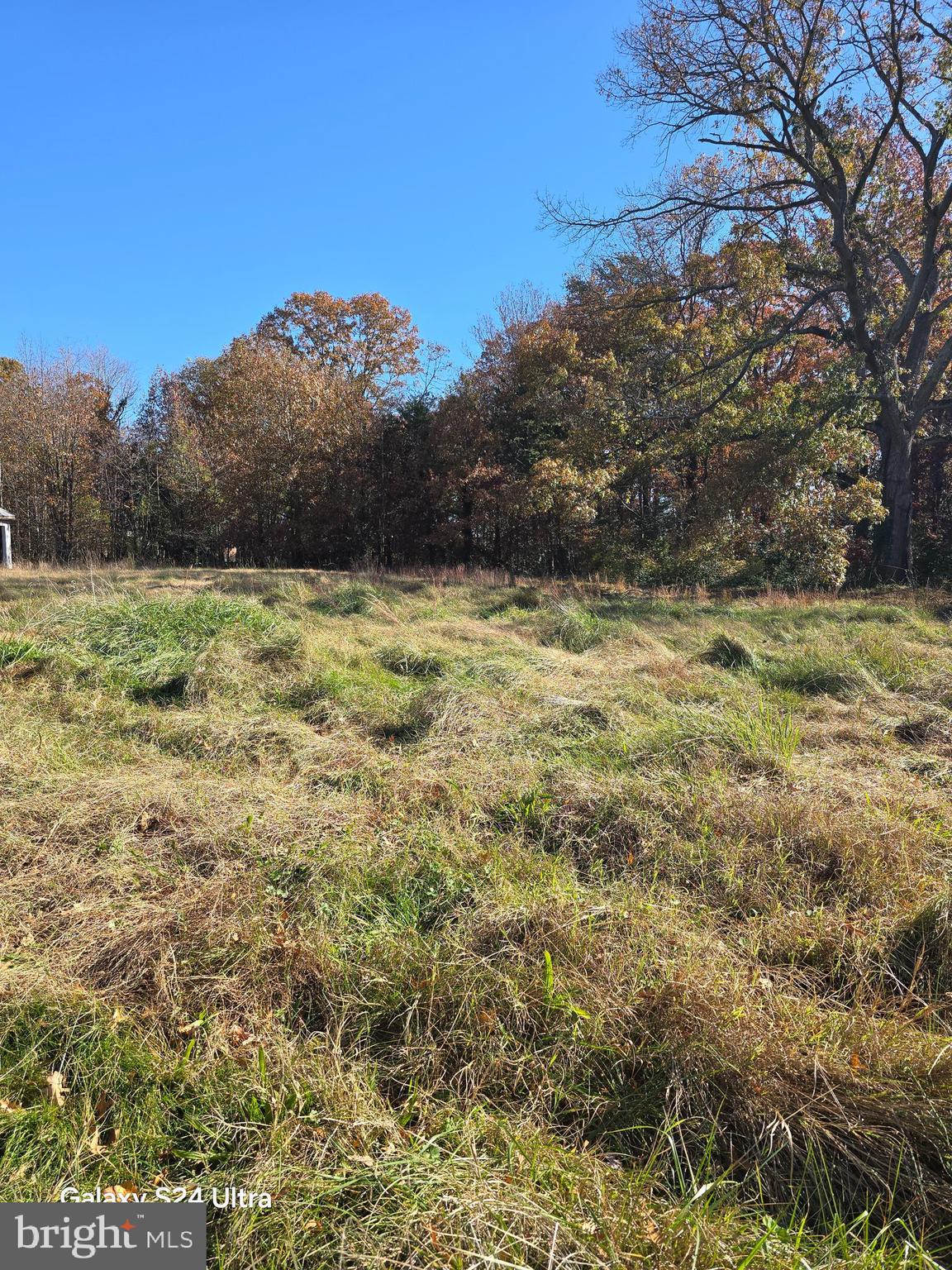 1715 William Street Fredericksburg, VA 22401 - Photo 3 of 5 a view of a yard with an outdoor space