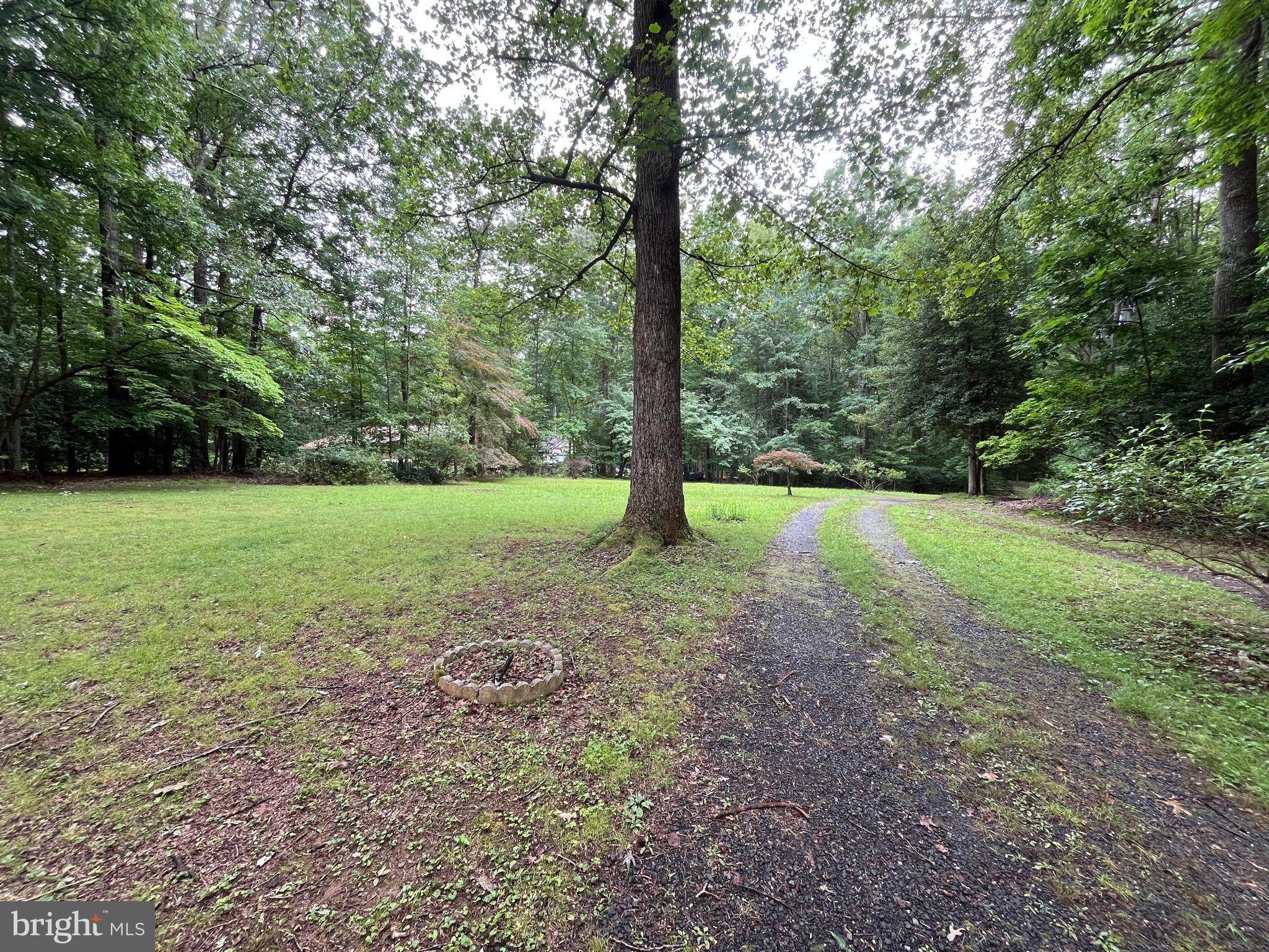 9809 Peppertree Road Spotsylvania, VA 22553 - Photo 3 of 14 Driveway/yard