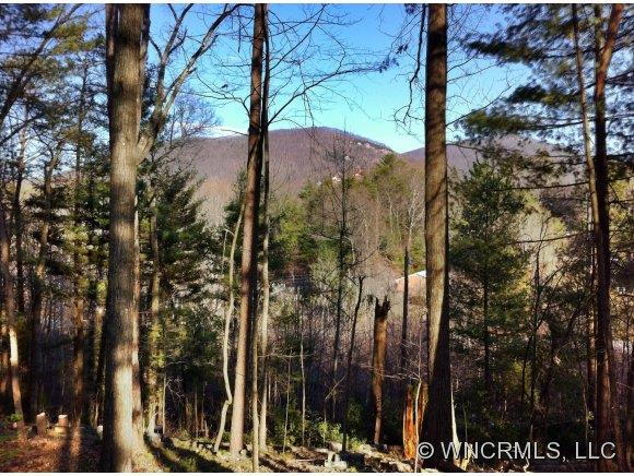 23 Lovers Loop Road, Unit 2 Asheville, NC 28803 - Photo 1 of 1 Gallery Image 1