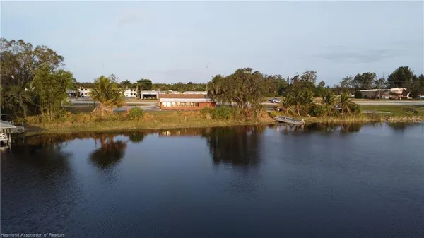 a view of a dry yard with trees