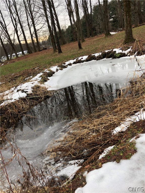 9274 Capron Road Lee, NY 13363 - Photo 18 of 36 small pond behind barn