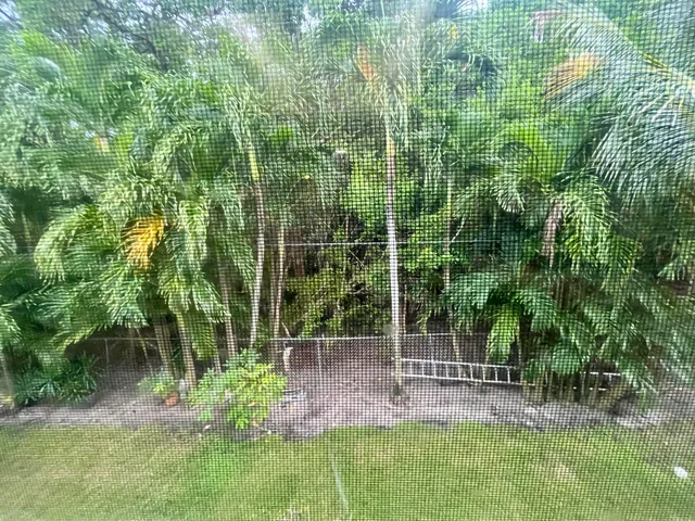 a view of a yard with a wooden fence